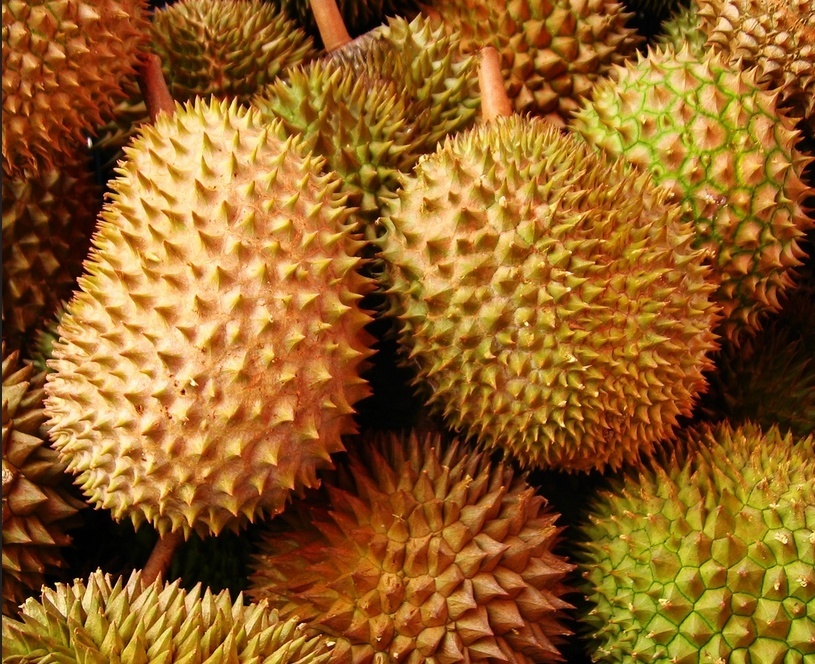 durian-1